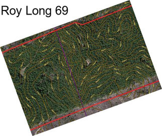 Roy Long 69