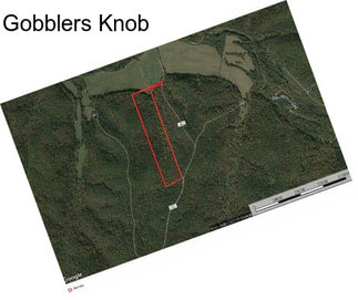 Gobblers Knob