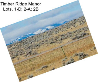 Timber Ridge Manor Lots, 1-D; 2-A; 2B