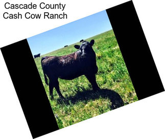 Cascade County Cash Cow Ranch