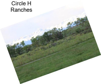 Circle H Ranches