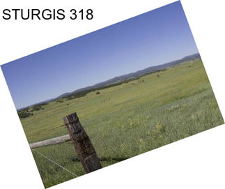STURGIS 318
