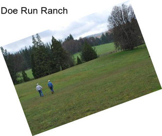 Doe Run Ranch