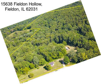 15638 Fieldon Hollow, Fieldon, IL 62031