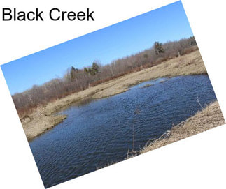 Black Creek