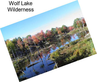 Wolf Lake Wilderness