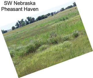 SW Nebraska Pheasant Haven