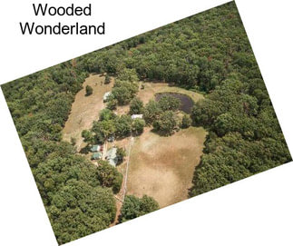 Wooded Wonderland
