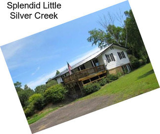 Splendid Little Silver Creek