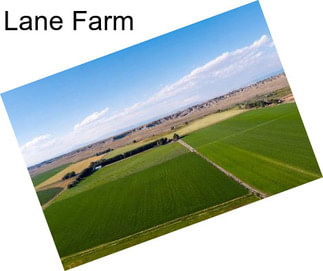 Lane Farm