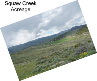 Squaw Creek Acreage