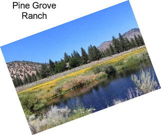 Pine Grove Ranch