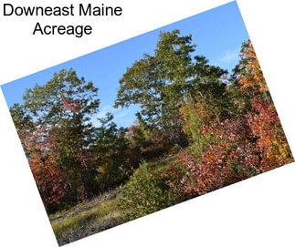 Downeast Maine Acreage