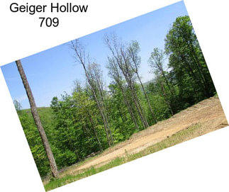 Geiger Hollow 709