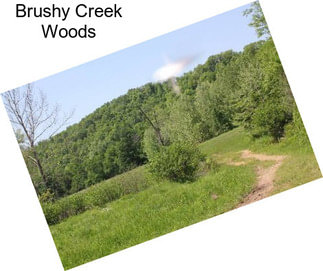 Brushy Creek Woods