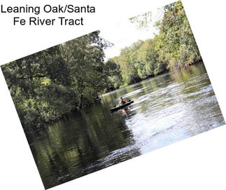 Leaning Oak/Santa Fe River Tract