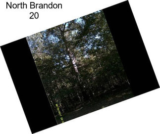 North Brandon 20