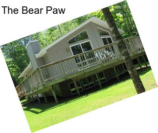 The Bear Paw