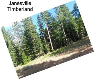 Janesville Timberland