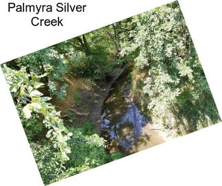 Palmyra Silver Creek