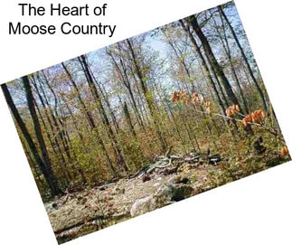 The Heart of Moose Country