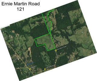 Ernie Martin Road 121