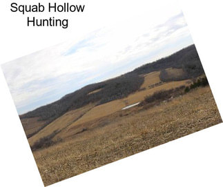 Squab Hollow Hunting