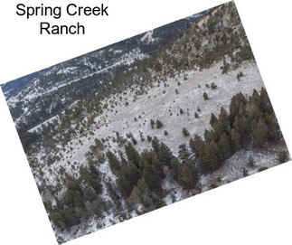 Spring Creek Ranch