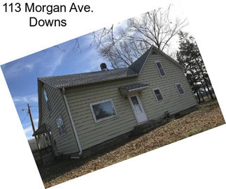 113 Morgan Ave. Downs