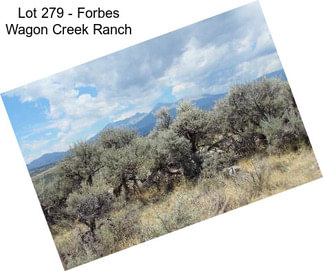 Lot 279 - Forbes Wagon Creek Ranch