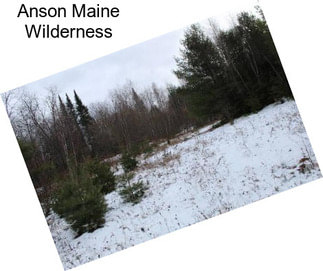 Anson Maine Wilderness