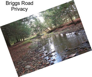 Briggs Road Privacy