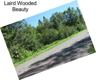 Laird Wooded Beauty