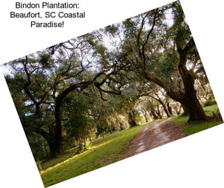 Bindon Plantation: Beaufort, SC Coastal Paradise!