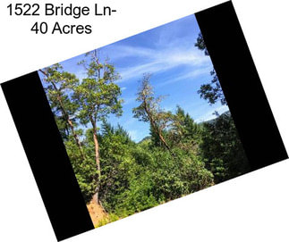 1522 Bridge Ln- 40 Acres