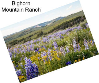 Bighorn Mountain Ranch