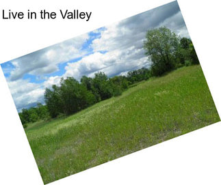 Live in the Valley