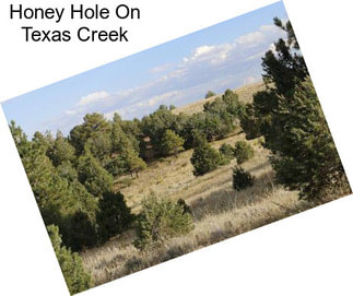 Honey Hole On Texas Creek