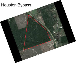 Houston Bypass