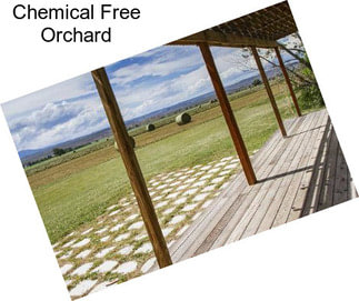 Chemical Free Orchard
