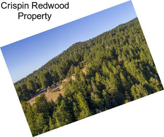 Crispin Redwood Property