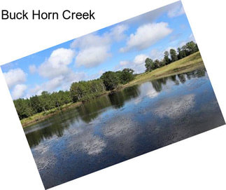 Buck Horn Creek