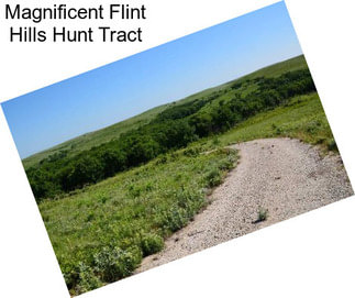 Magnificent Flint Hills Hunt Tract