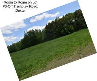 Room to Roam on Lot #6-Off Tremblay Road, Dexter