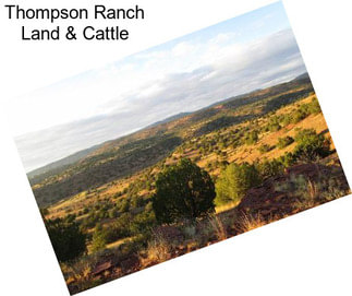 Thompson Ranch Land & Cattle