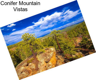 Conifer Mountain Vistas