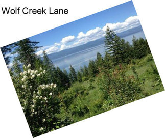 Wolf Creek Lane