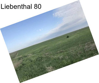 Liebenthal 80