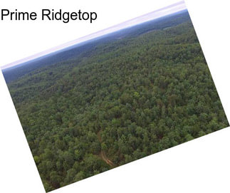 Prime Ridgetop