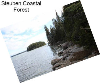 Steuben Coastal Forest
